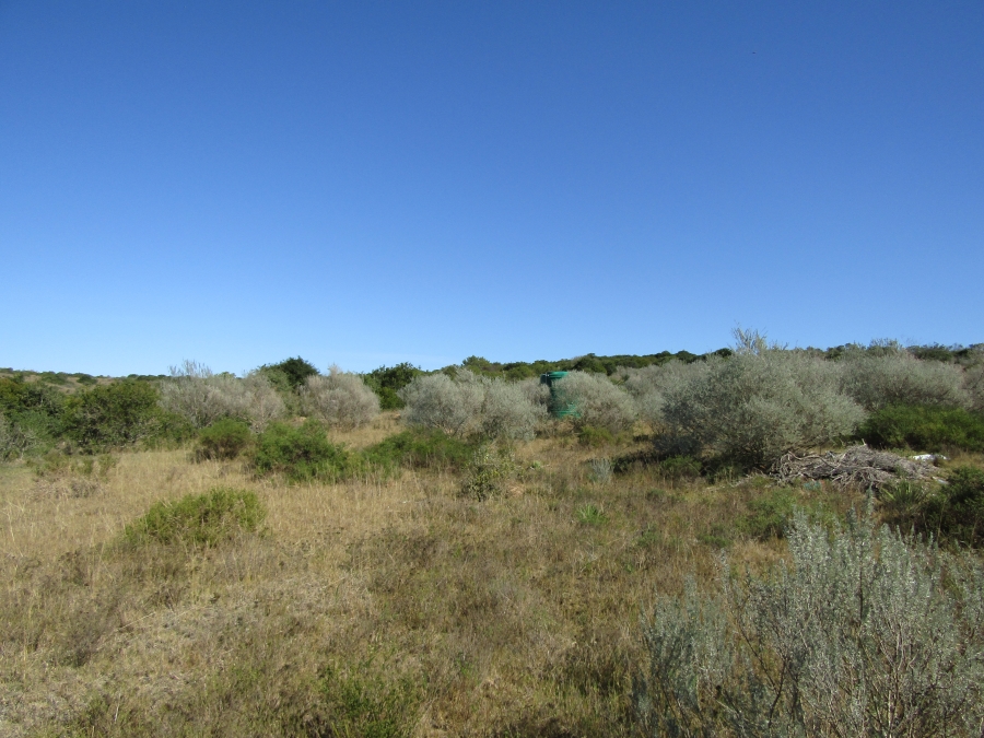 Commercial Property for Sale in Gamtoos Mouth Eastern Cape